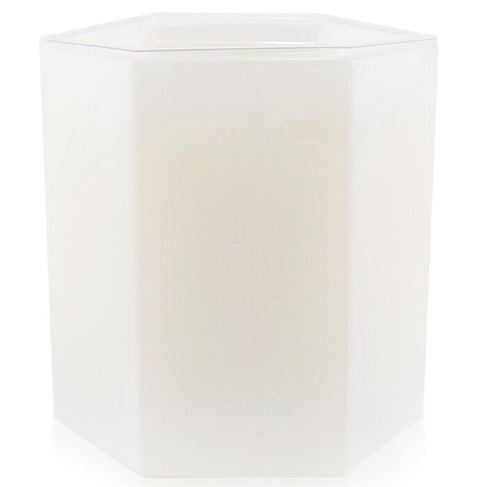 Antica Farmacista Kaars - Vijgenblad 255g/9oz