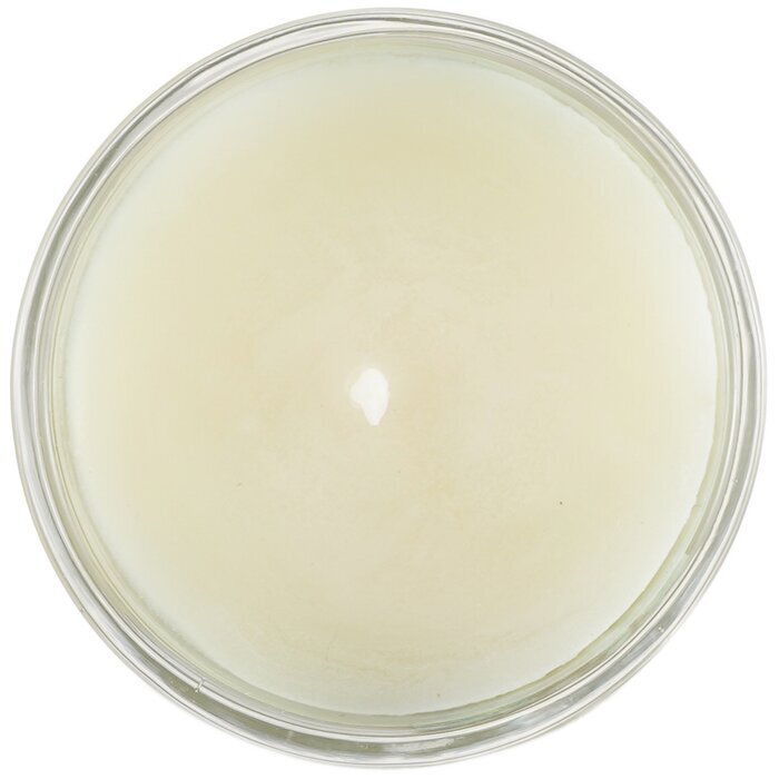 Carroll & Chan 100% bijenwas votiefkaars - Tropisch bos 65 g/2,3 oz