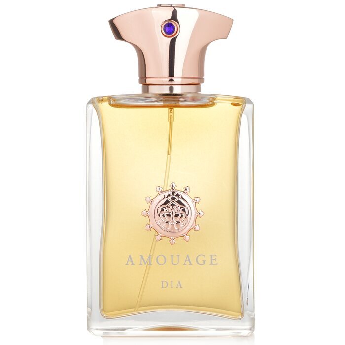 Amouage Dia Man Eau De Parfum Spray 100ml