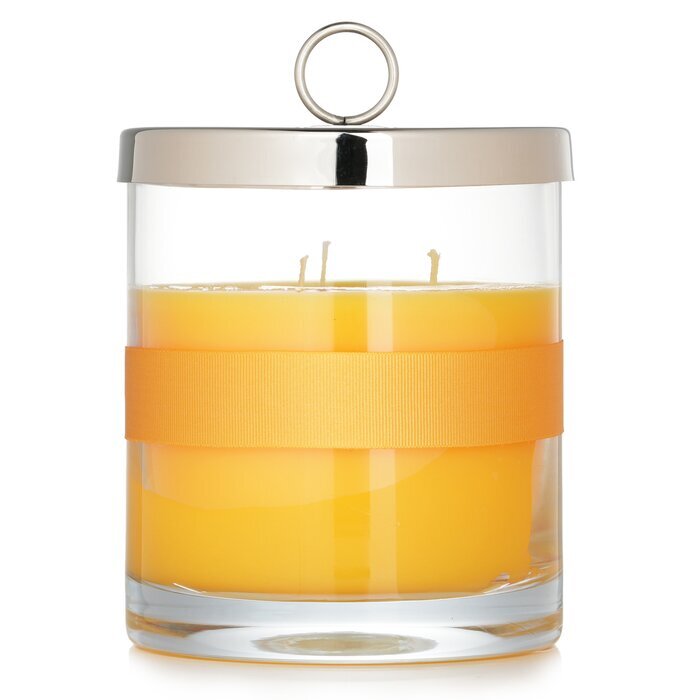 Rigaud Scented Candle - # Tournesol 750g/26.45oz