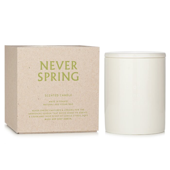 Bjork & Berries Scented Candle - Never Spring 240g/8.5oz